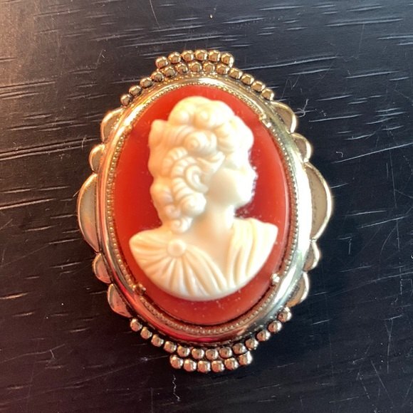 Vintage Cameo Pin off white on brown/orange background - Picture 1 of 3